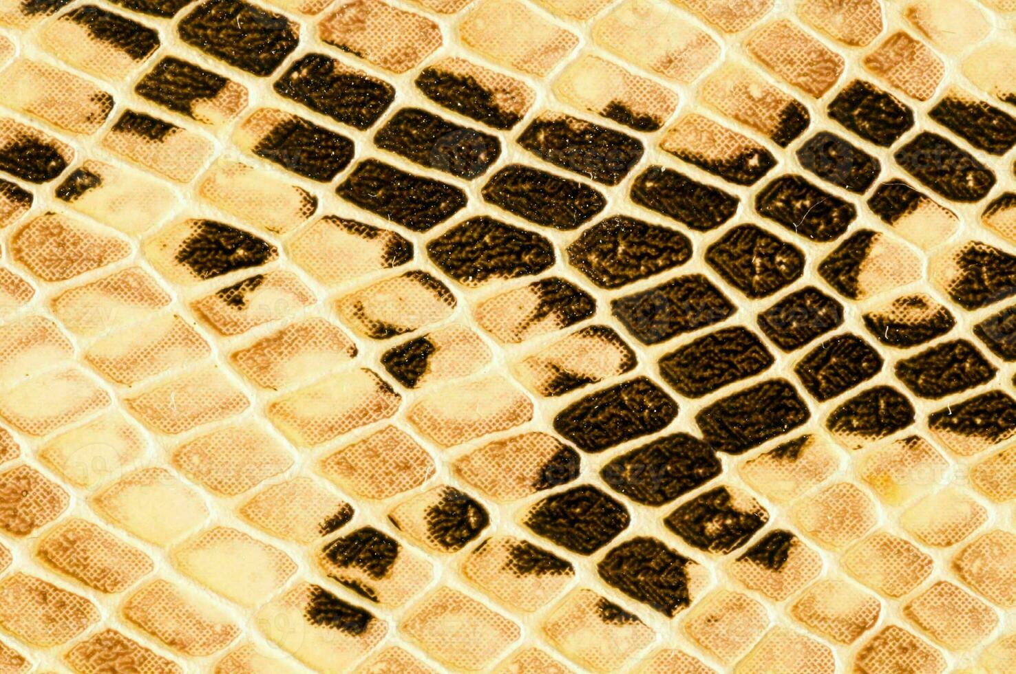 a snake skin texture with black and white spots photo