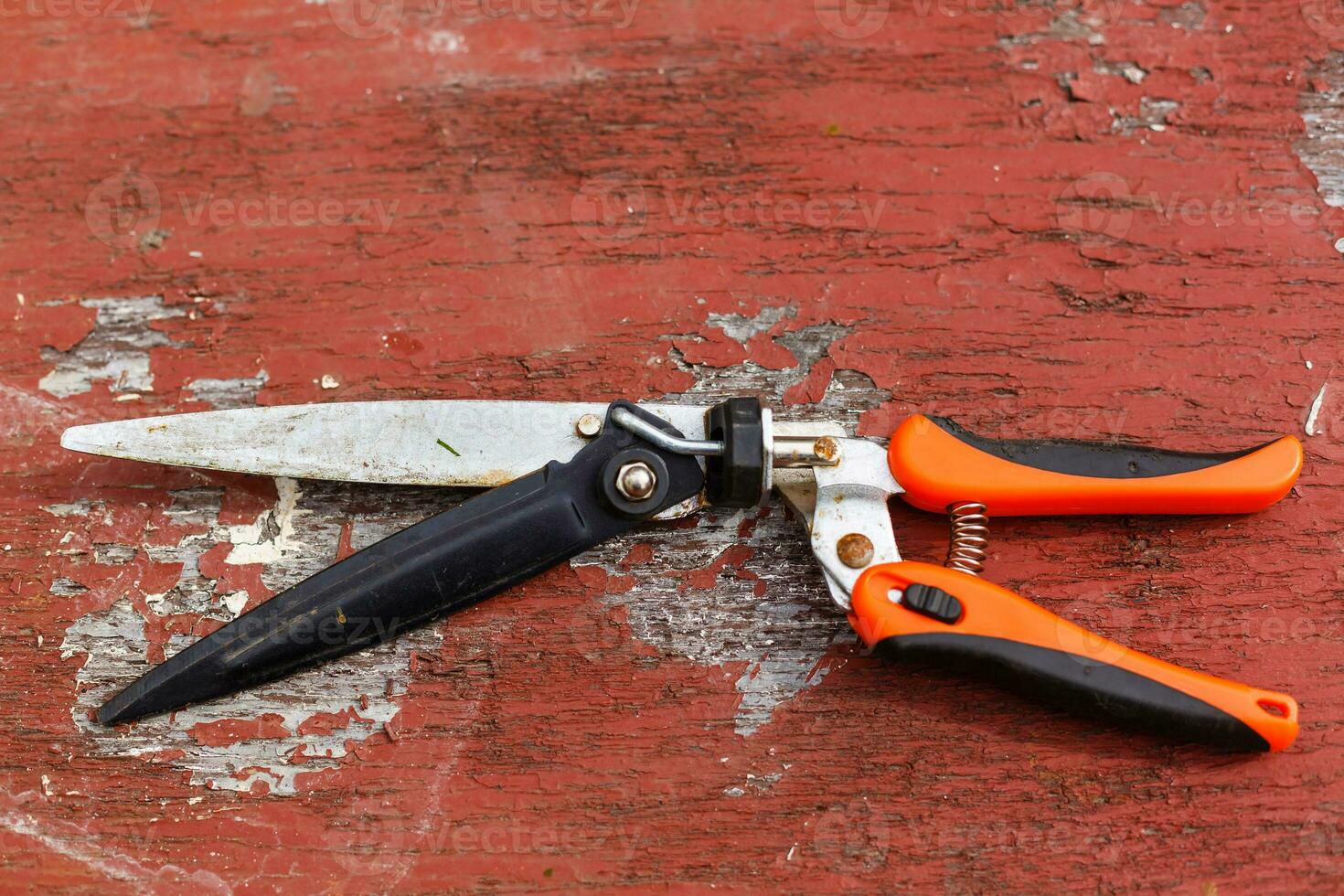 Red pruning shears, garden secateurs or hand pruners are garden tools used in gardening for cutting tree branches and landscaping gardens, on the wooden table with space for text photo