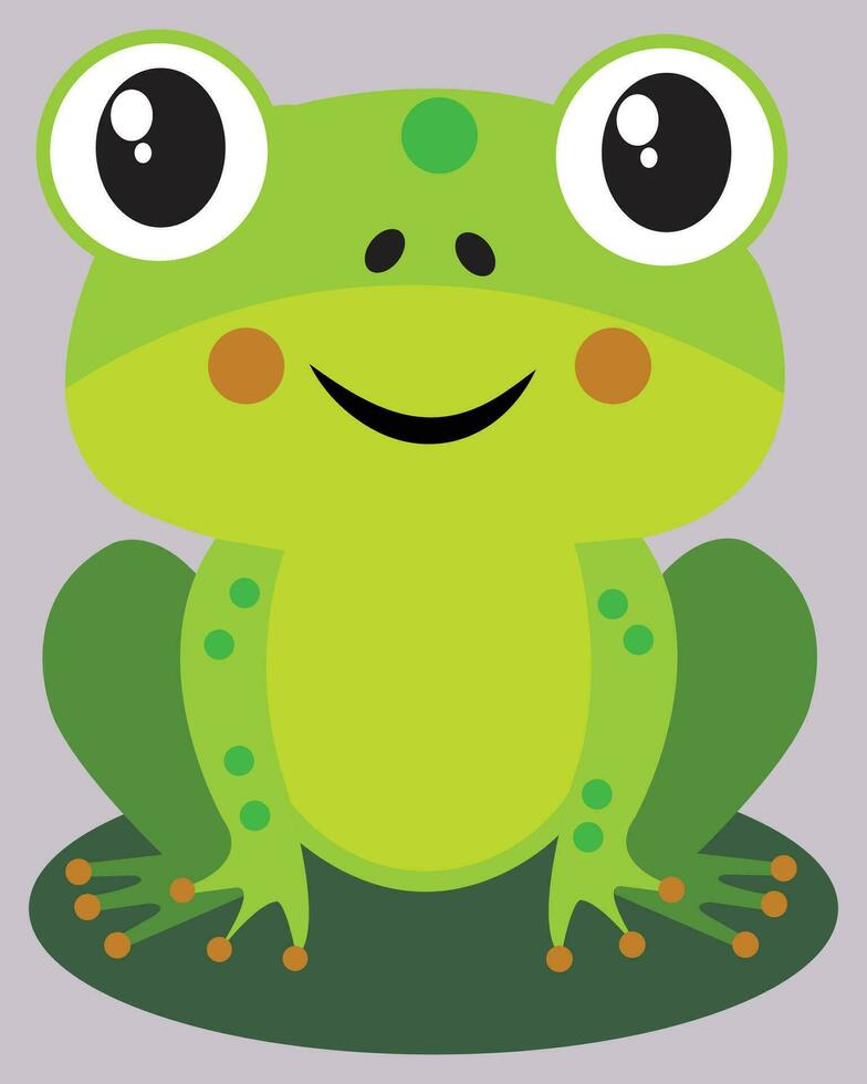 frog  vector design