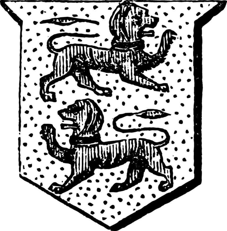 leones mostrador pasante tener dos animales paso el contrario camino a cada otro, Clásico grabado. vector