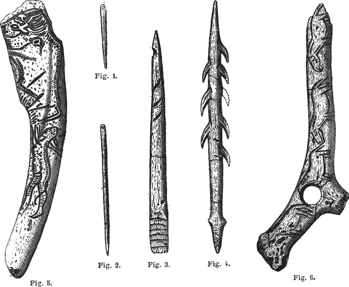 magdaleniense herramientas y armas, Clásico grabado vector