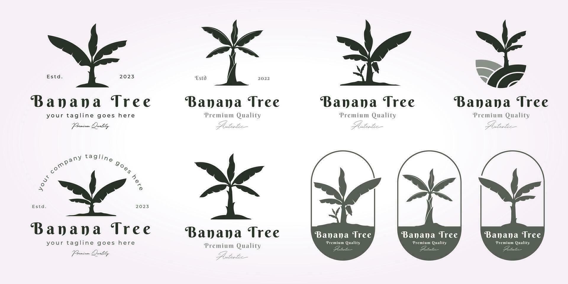 bundle banana tree logo vintage design set. simple banana tree logo vector design, banana tree vintage icon illustration