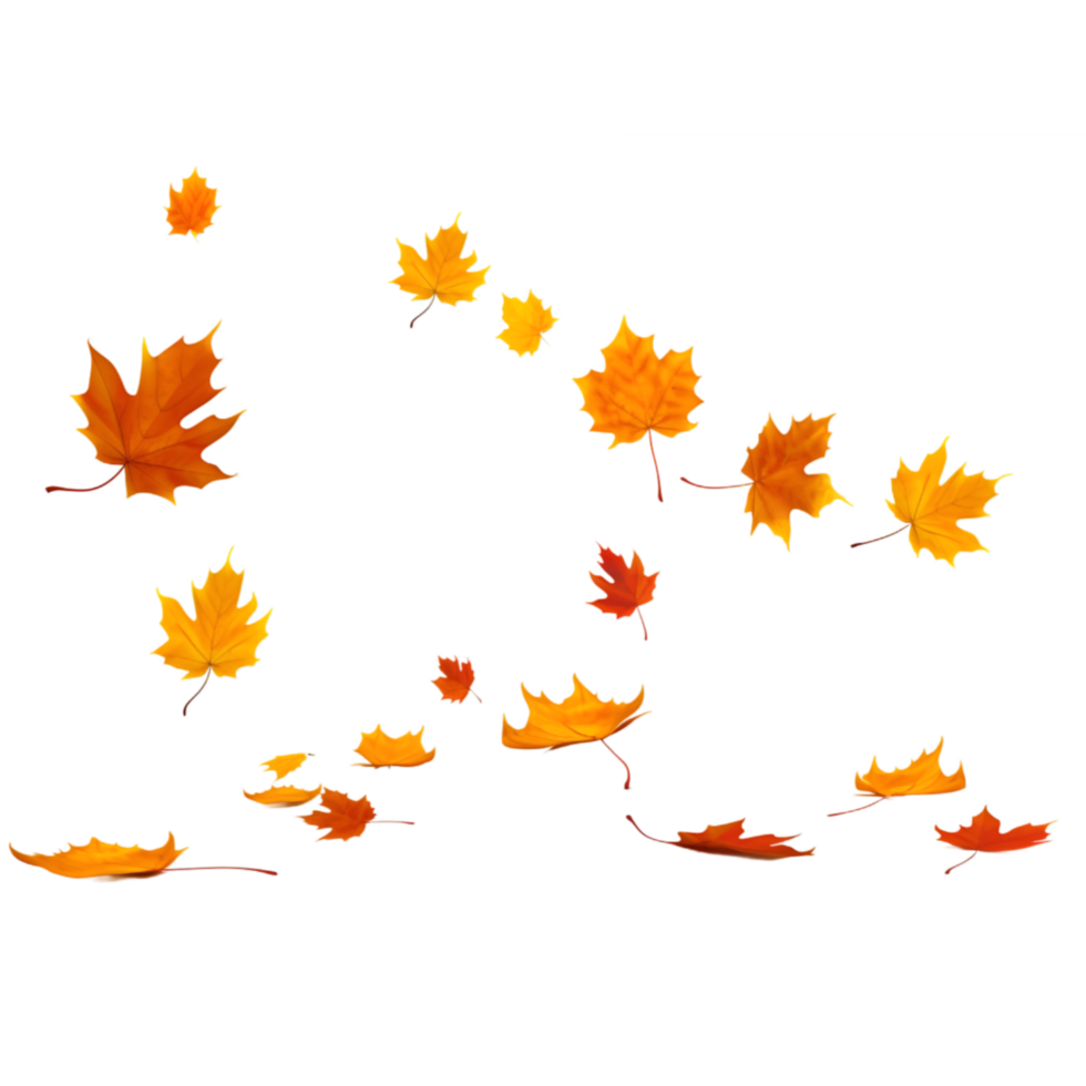 isolated autumn leaves on transparent background png