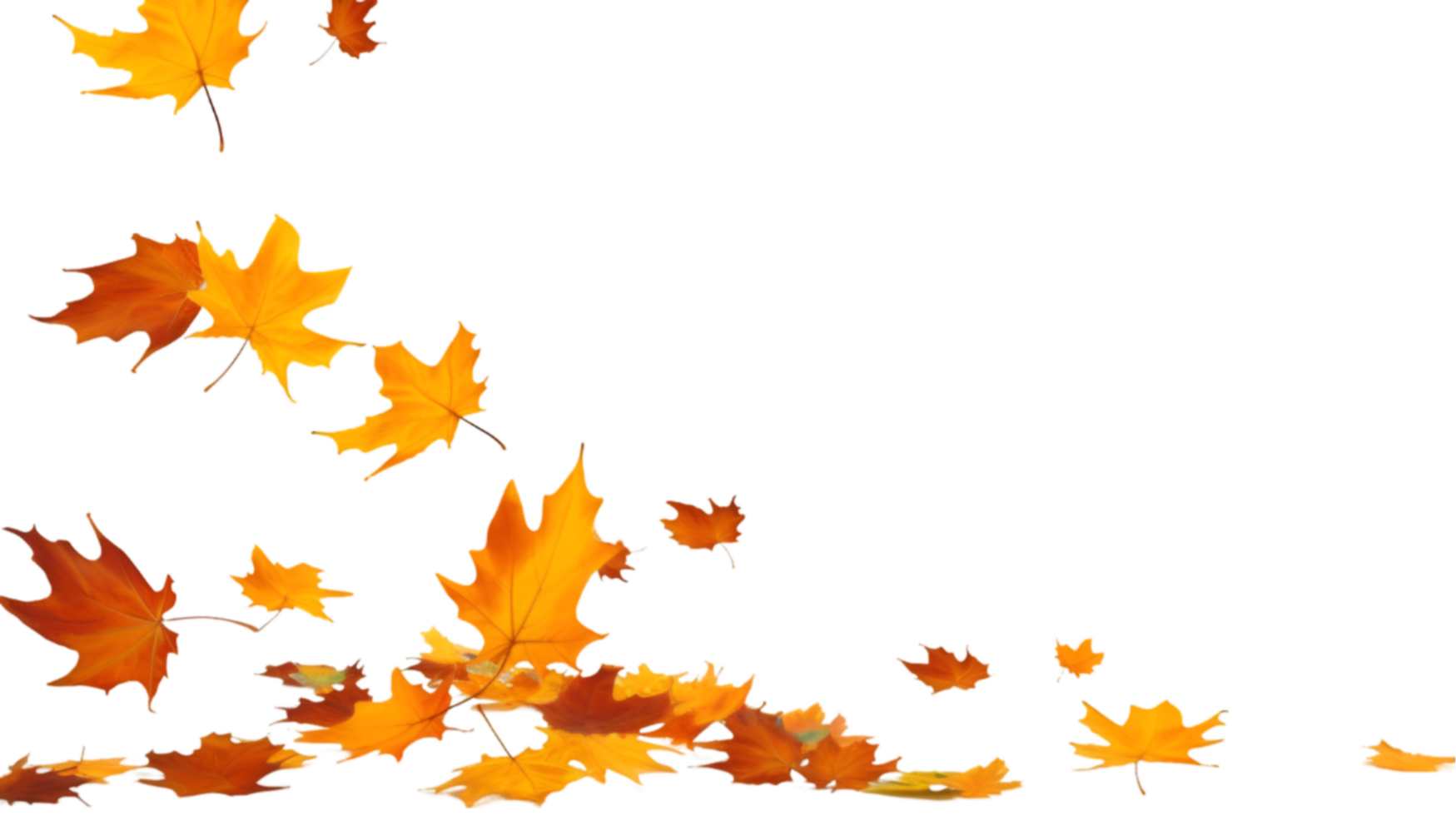 AI generated autumn leaves on transparent background png