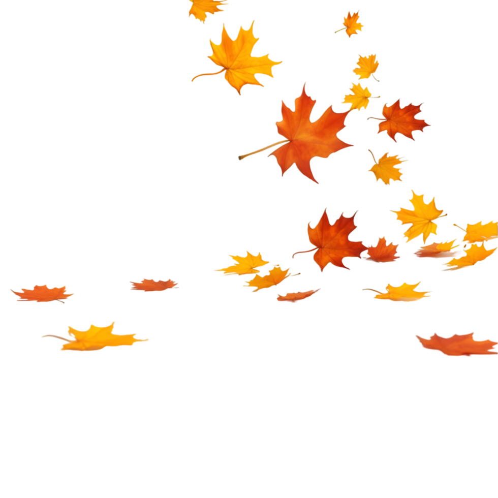 isolated autumn leaves on transparent background png