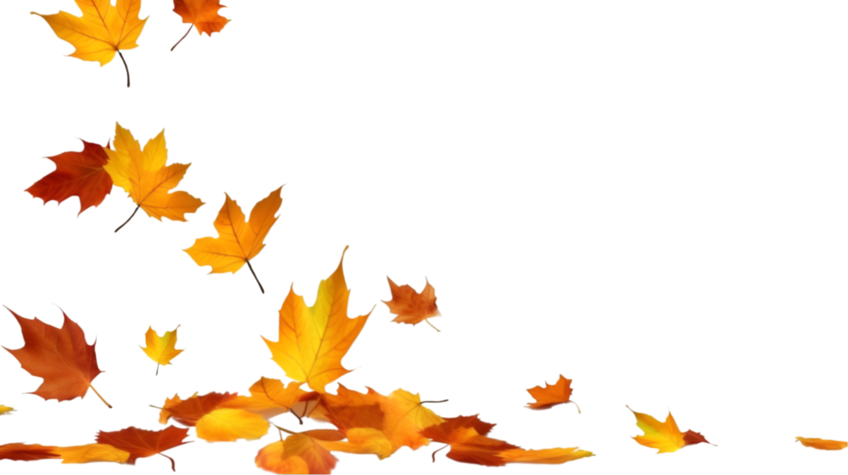 AI generated autumn leaves on transparent background png