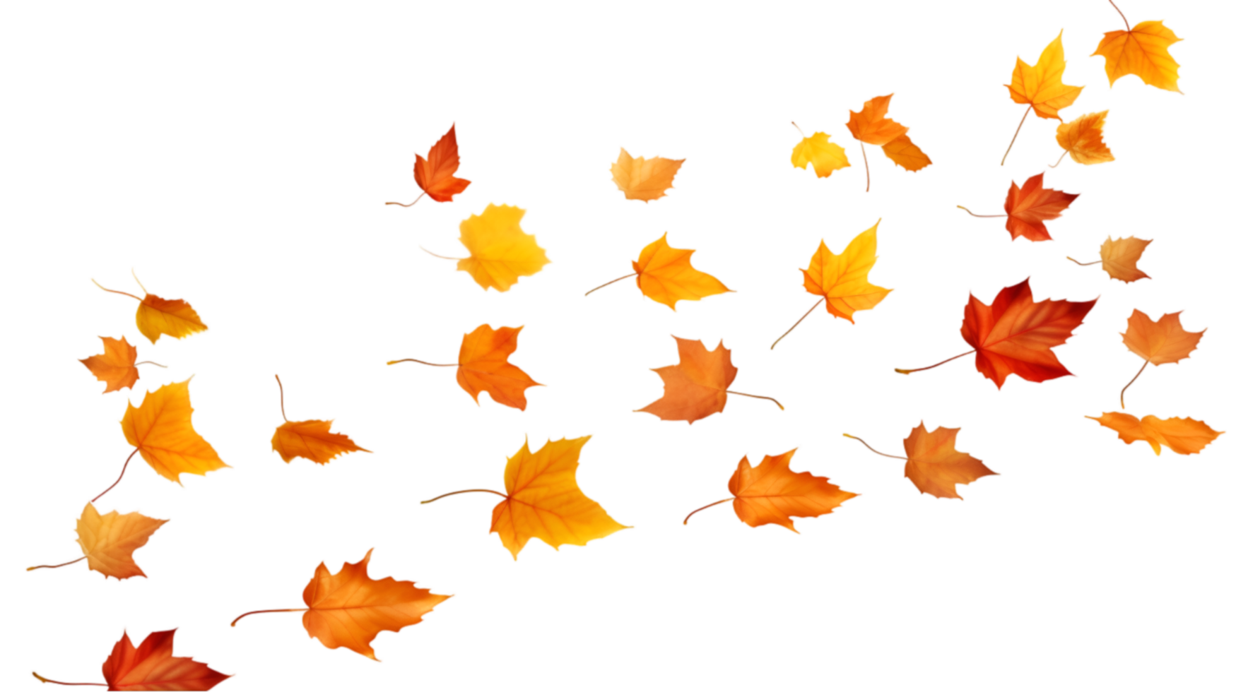 AI generated autumn leaves on transparent background png