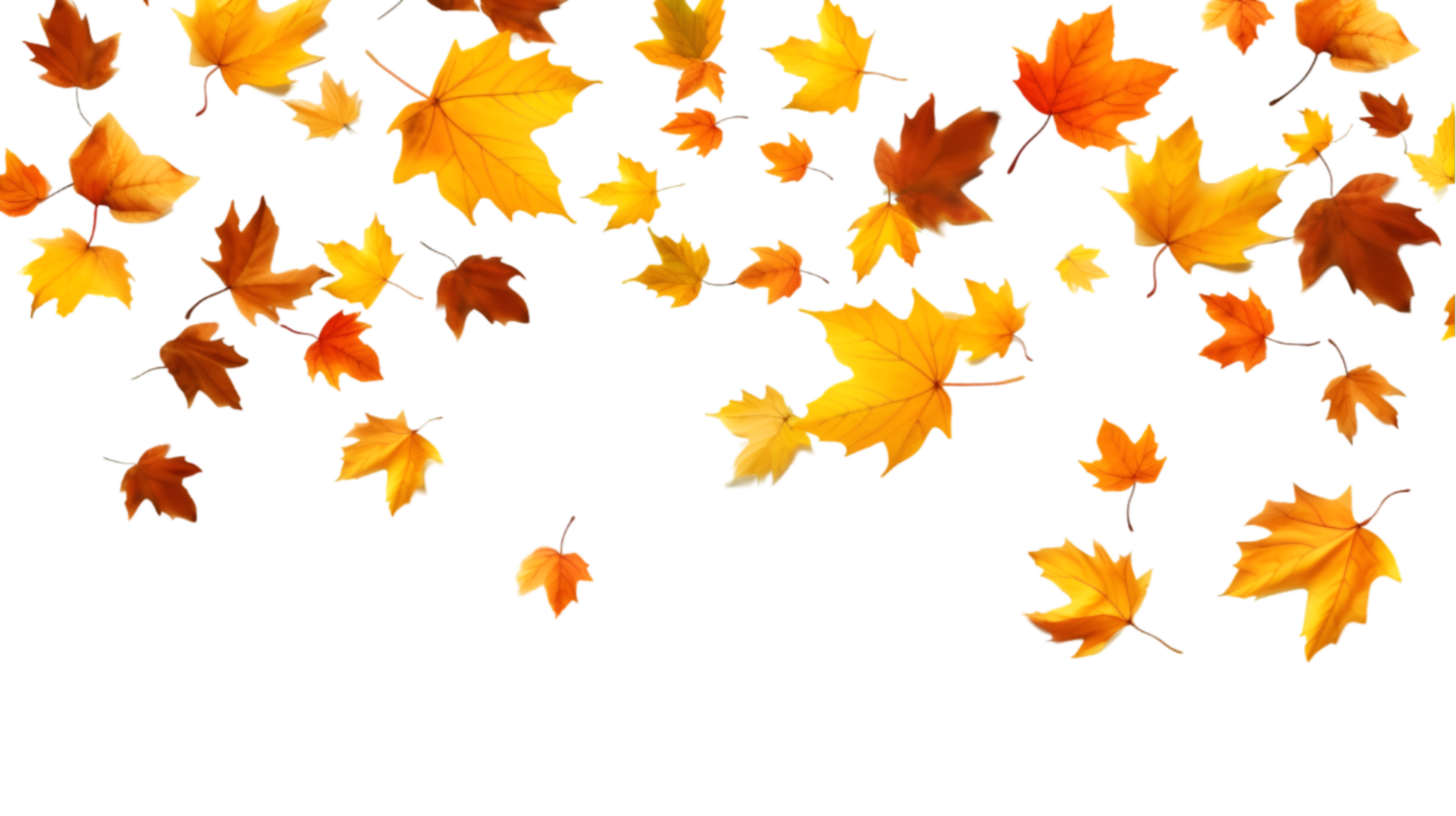 AI generated autumn leaves on transparent background png