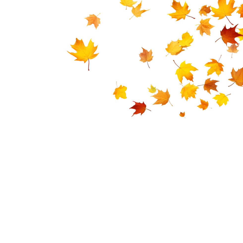 isolated autumn leaves on transparent background png