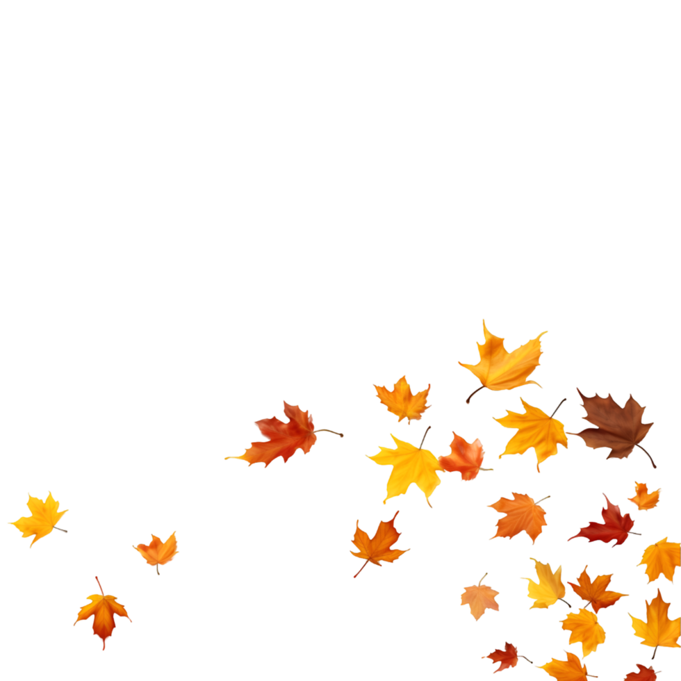 isolated autumn leaves on transparent background png