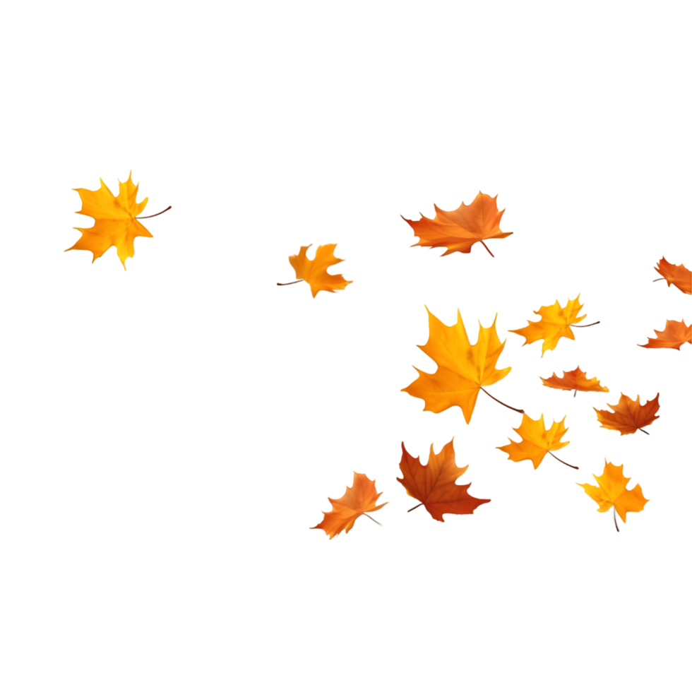 isolated autumn leaves on transparent background png