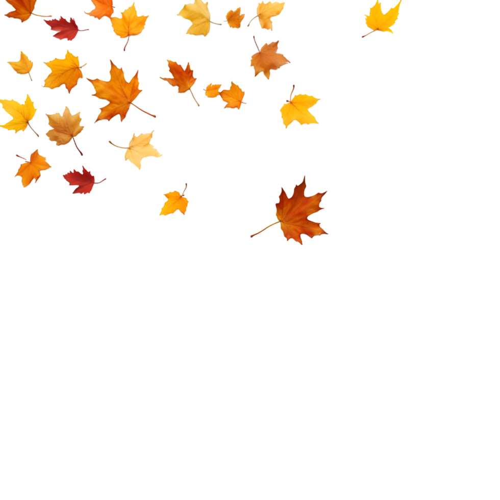 isolated autumn leaves on transparent background png