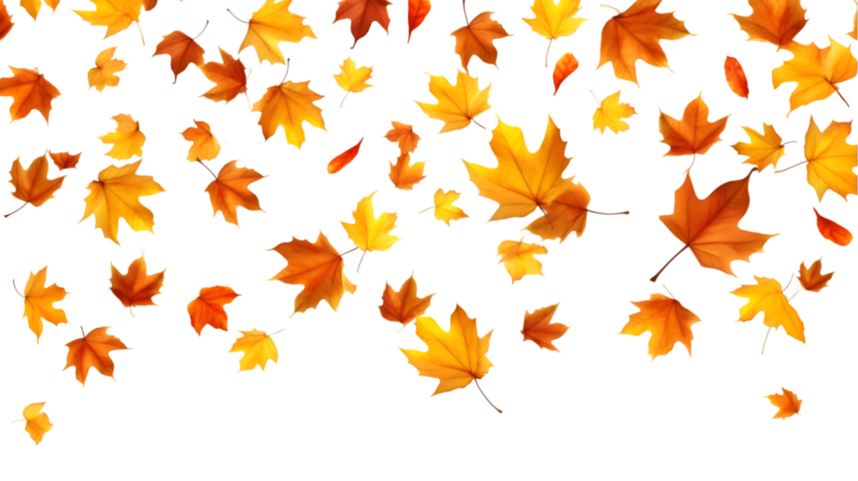 AI generated autumn leaves on transparent background png