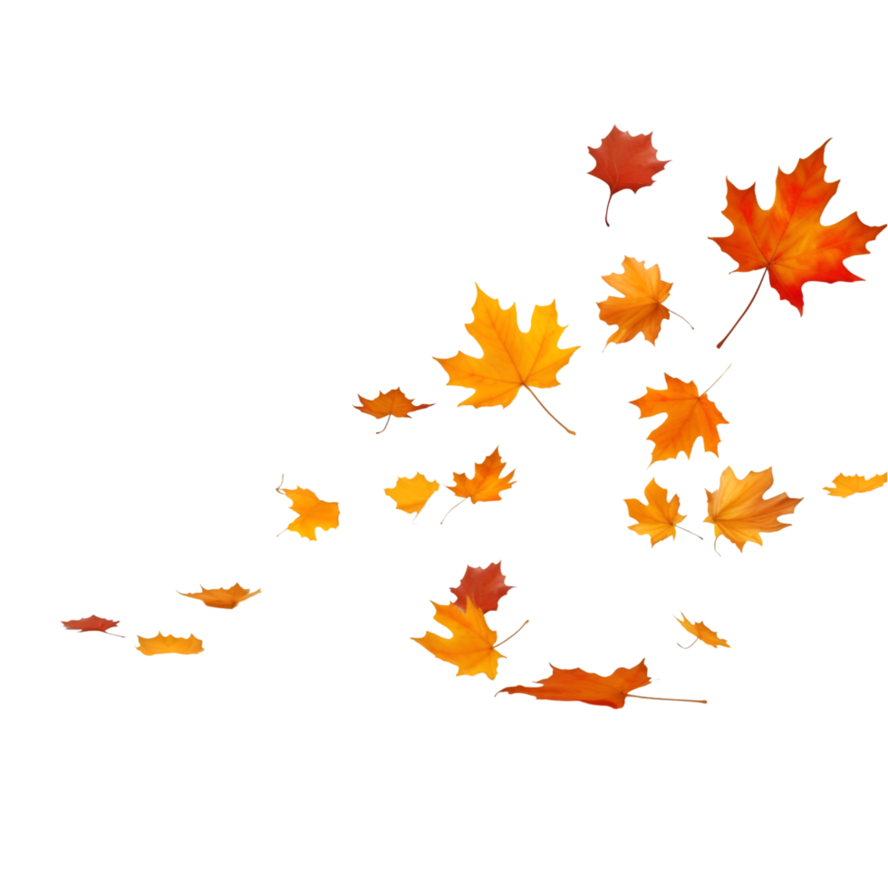 isolated autumn leaves on transparent background png