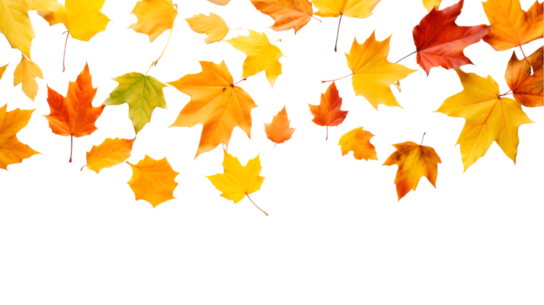 AI generated autumn leaves on transparent background png