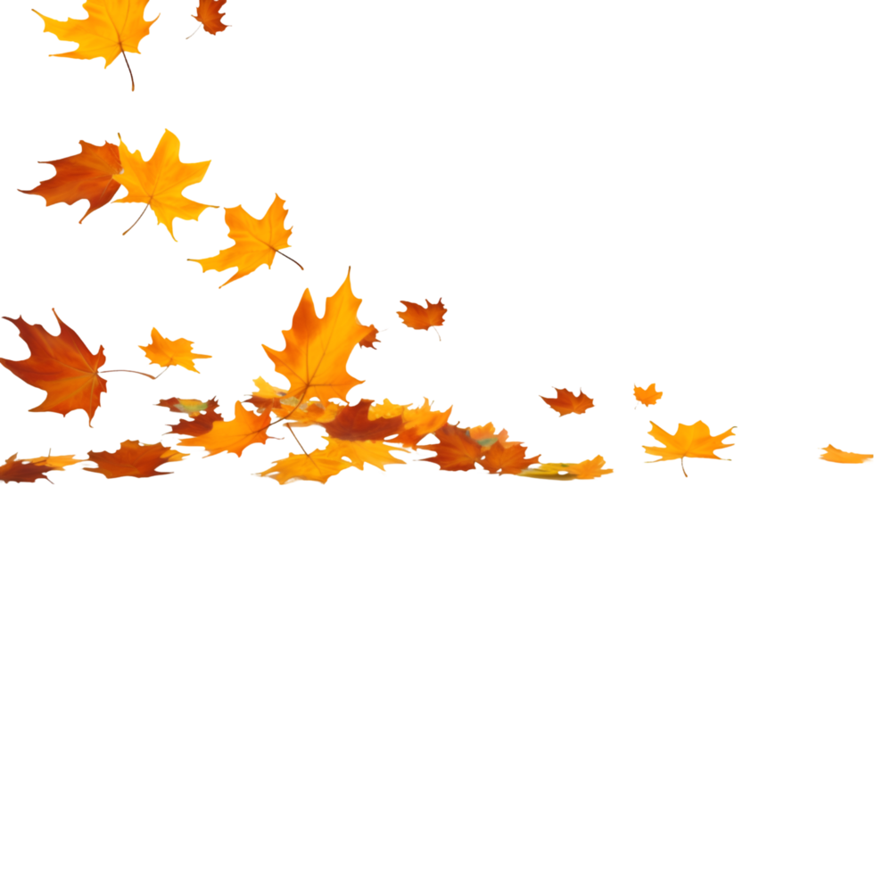 isolated autumn leaves on transparent background png