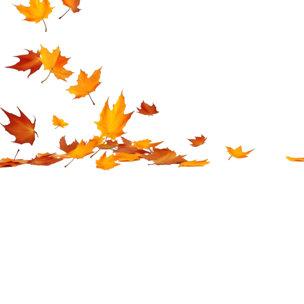isolated autumn leaves on transparent background png