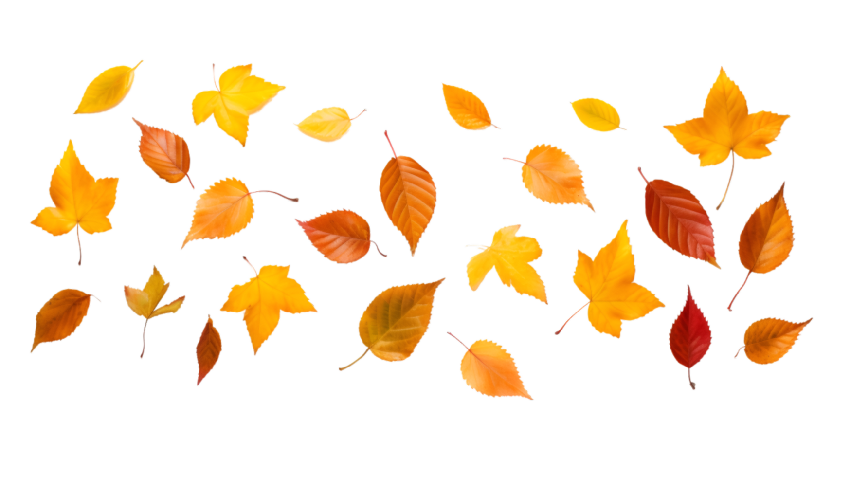 AI generated autumn leaves on transparent background png