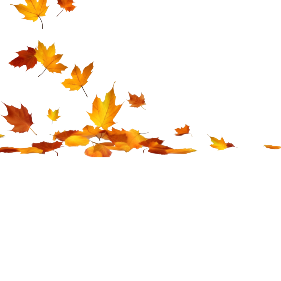 isolated autumn leaves on transparent background png