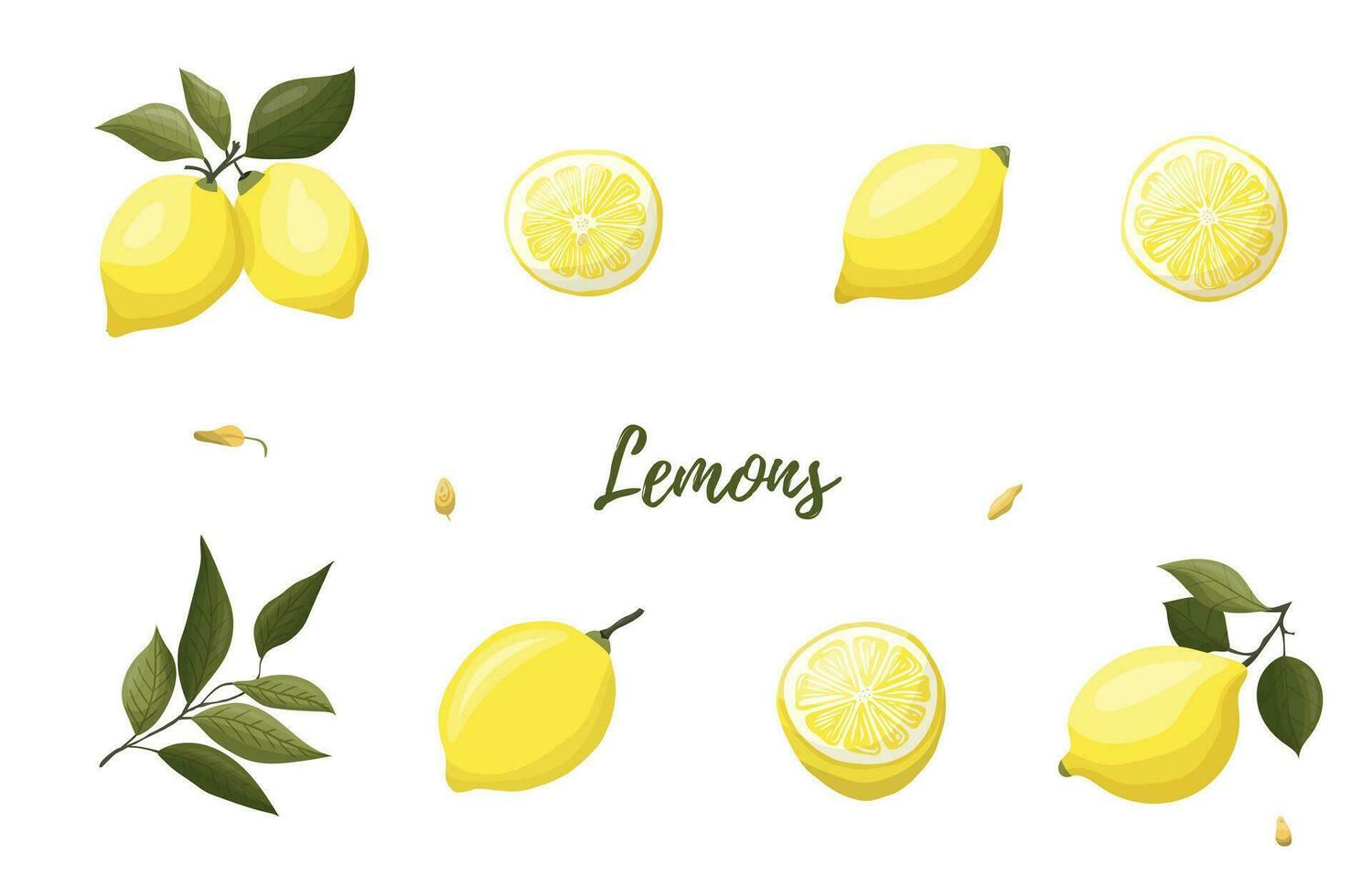 Vector illustration of yellow lemons on a branch. Vegetables, fruits, kitchen, cooking, eating, drinking tea, gardening designs.