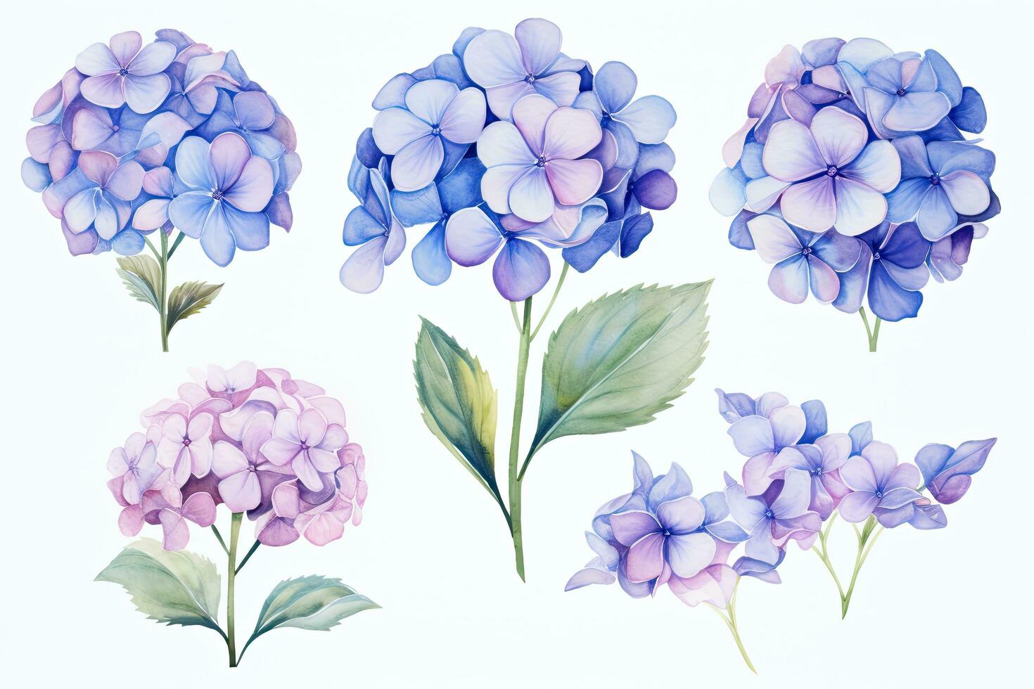 AI generated Set of blue hydrangea flowers. Watercolor illustration, vintage watercolor flower elements of Hydrangea, AI Generated photo