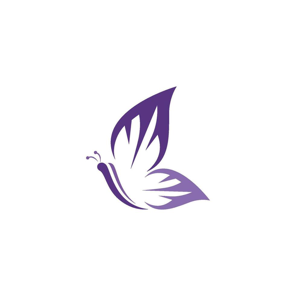 Beauty Butterfly icon design vector