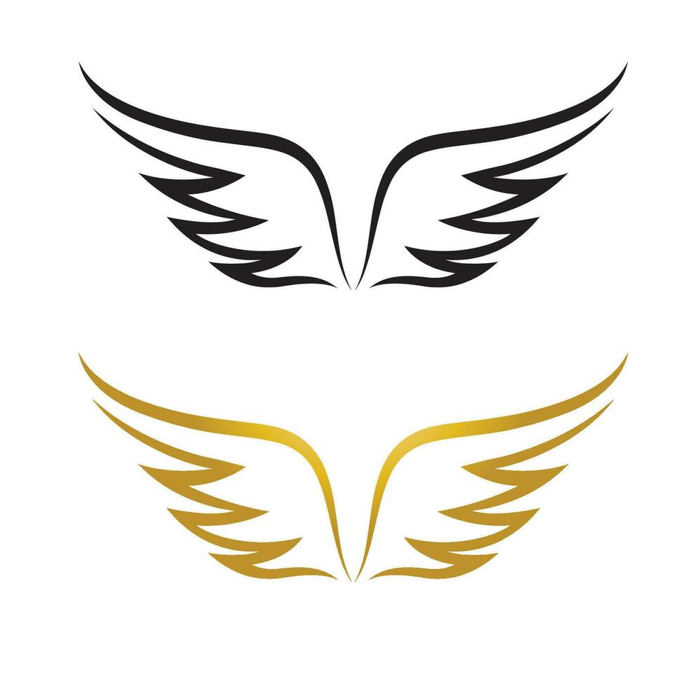 Wings gold and black bird  logo vector illustration template