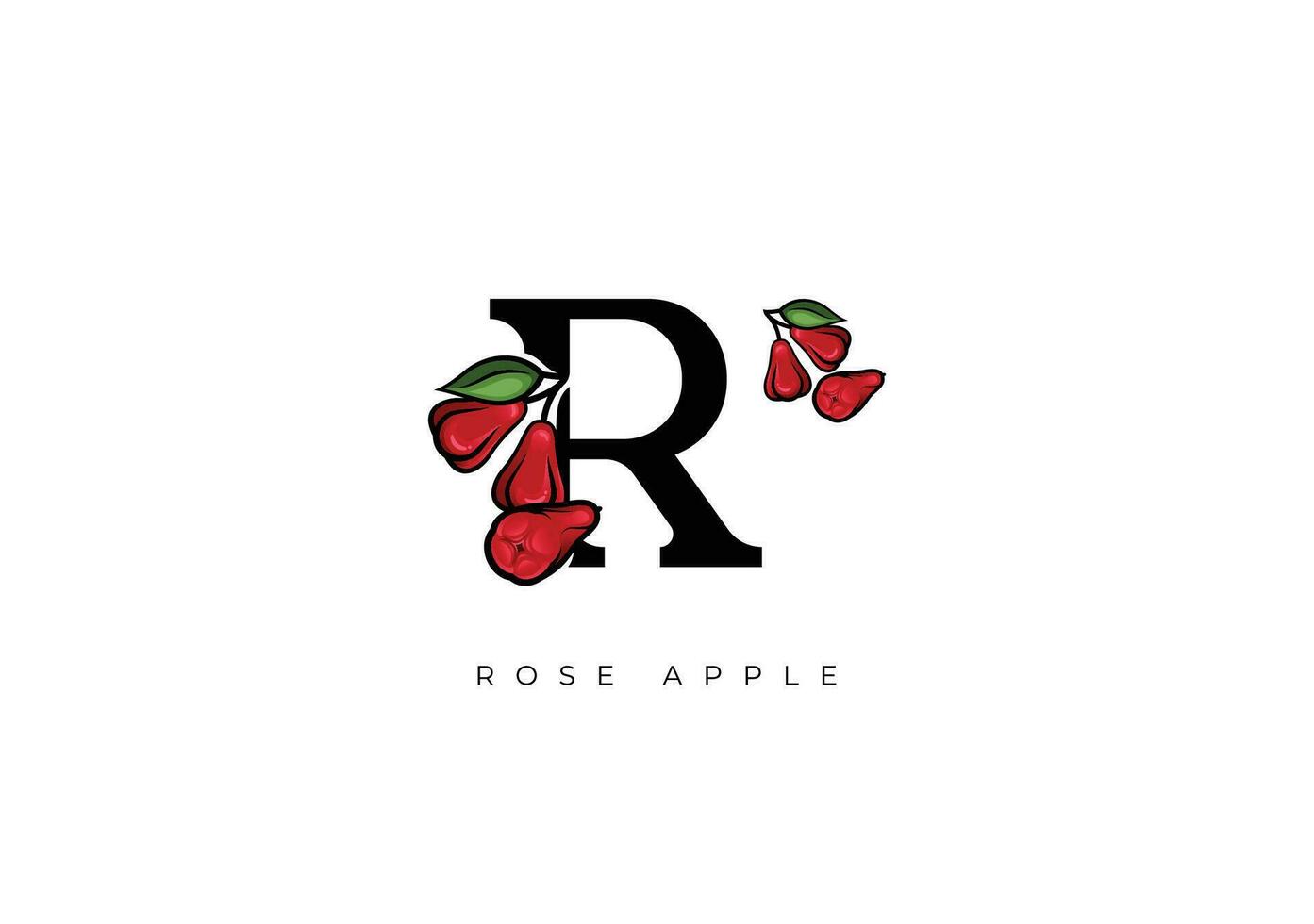 Red ROSE APPLE, WATER APPLE FRUIT Vector, Great combination of Rose Apple Fruit symbol with letter R vector