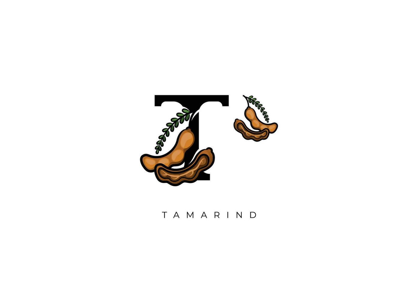 Brown TAMARIND FRUIT Vector, Great combination of Tamarind Fruit symbol with letter T vector