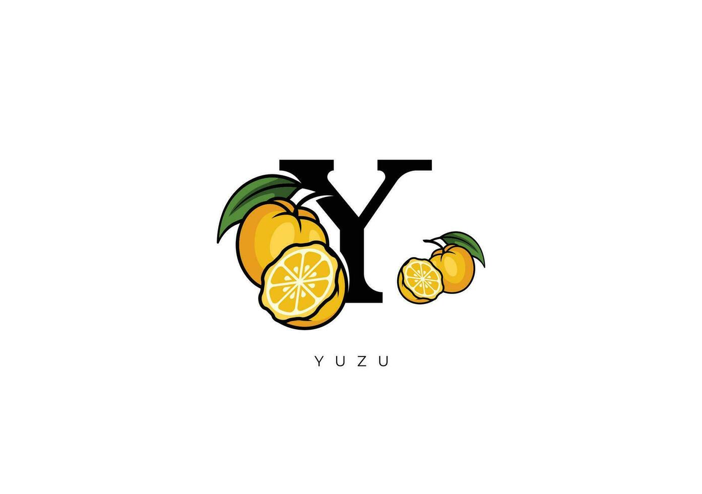 amarillo Yuzu Fruta vector, genial combinación de Yuzu Fruta símbolo con letra y vector