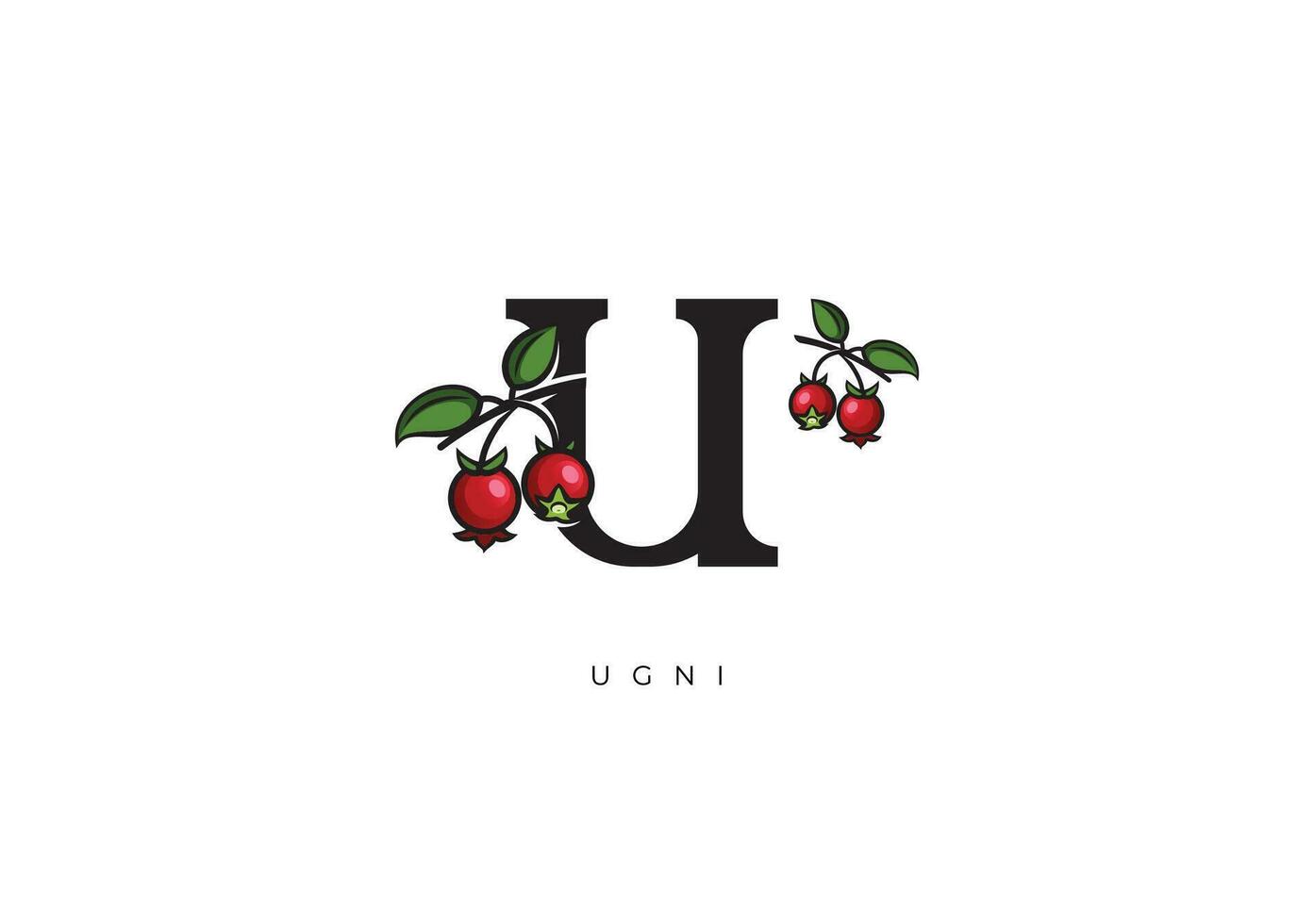 Red UGNI FRUIT Vector, Great combination of Ugni Fruit symbol with letter U vector