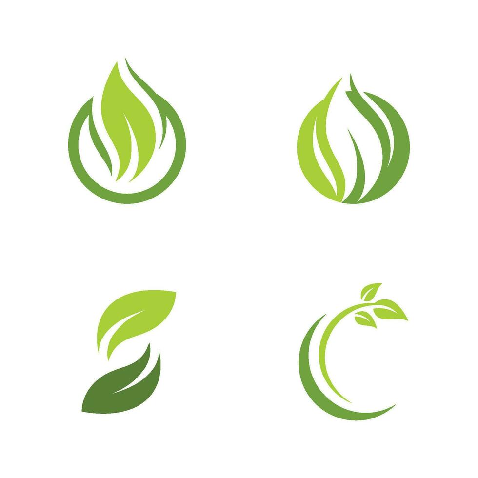 logotipos de la ecología de la hoja del árbol verde vector