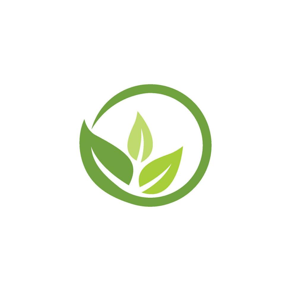 logotipos de la ecología de la hoja del árbol verde vector