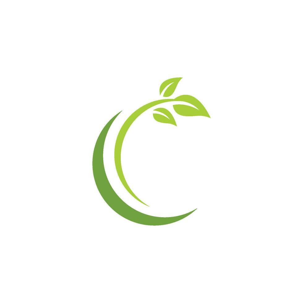 Logos of green Tree leaf ecology vector