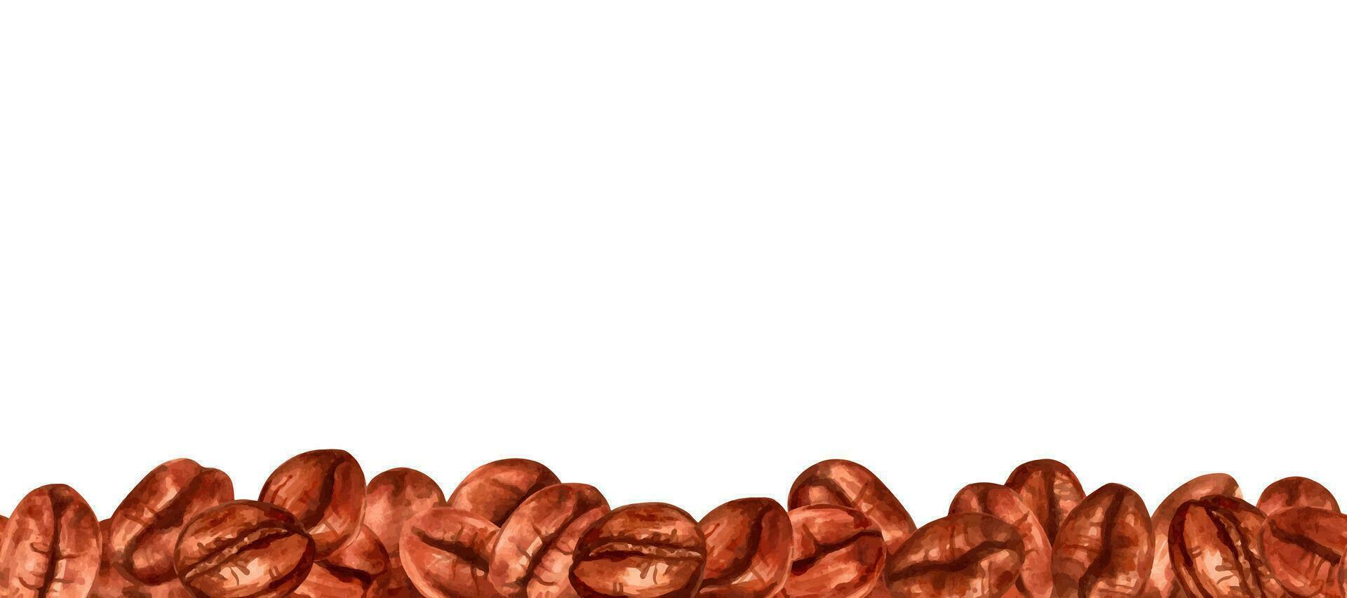 Seamless border of coffee beans. Aromatic varieties of Robusta a vector