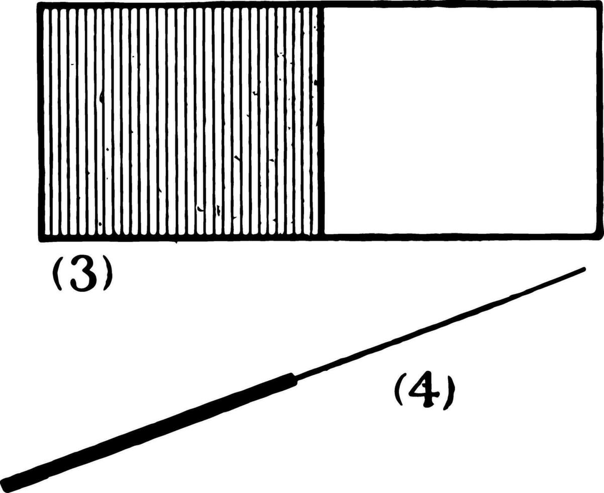 Rectangle, 12 Fraction vintage illustration. vector