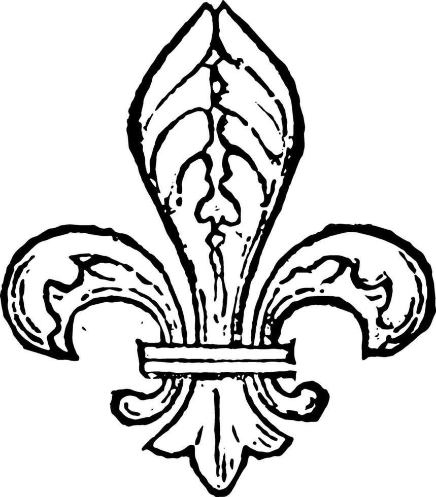 Fleur-de-Lis are often seen as a stylized lily, vintage engraving. vector