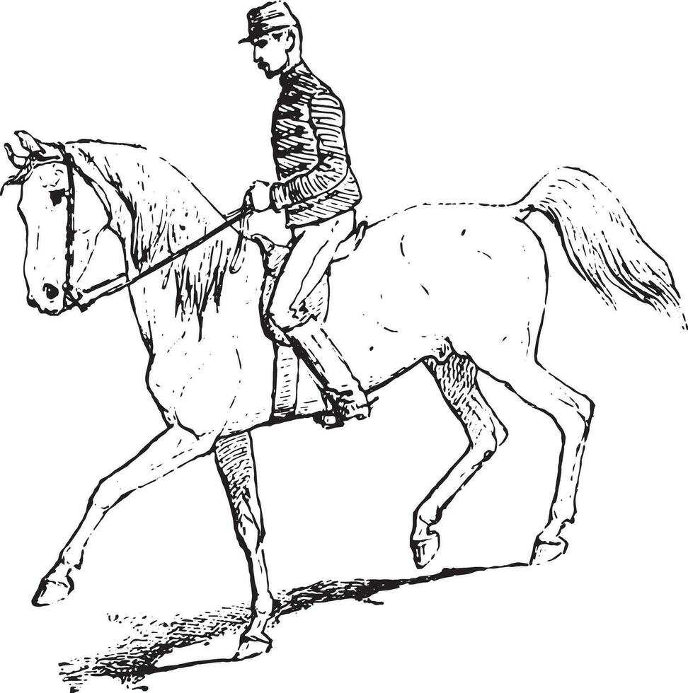 el paso montando caballo, Clásico grabado. vector