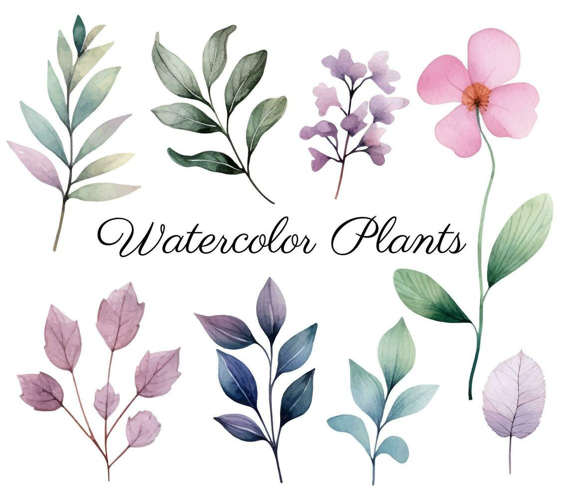 Watercolor botanical set. Delicate watercolor plants for wedding invitations, posters. Vector plants pastel colors.