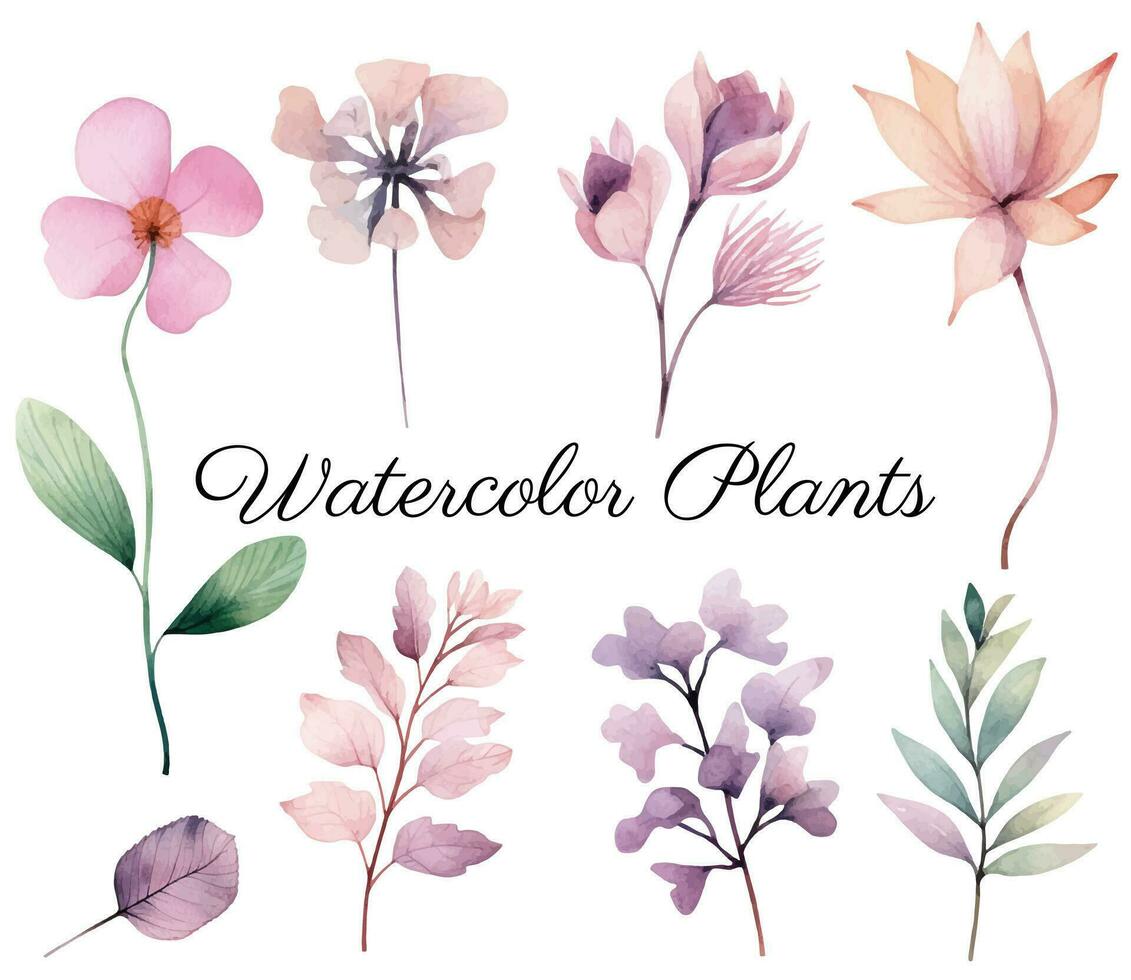 acuarela botánico colocar. delicado acuarela plantas para Boda invitaciones, carteles vector plantas pastel colores.