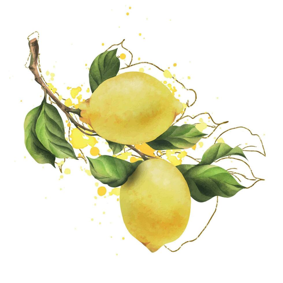 limones son amarillo, jugoso, maduro con verde hojas, flor brotes en el sucursales, todo y rebanadas acuarela, mano dibujado botánico ilustración. aislado objeto en un blanco antecedentes. vector