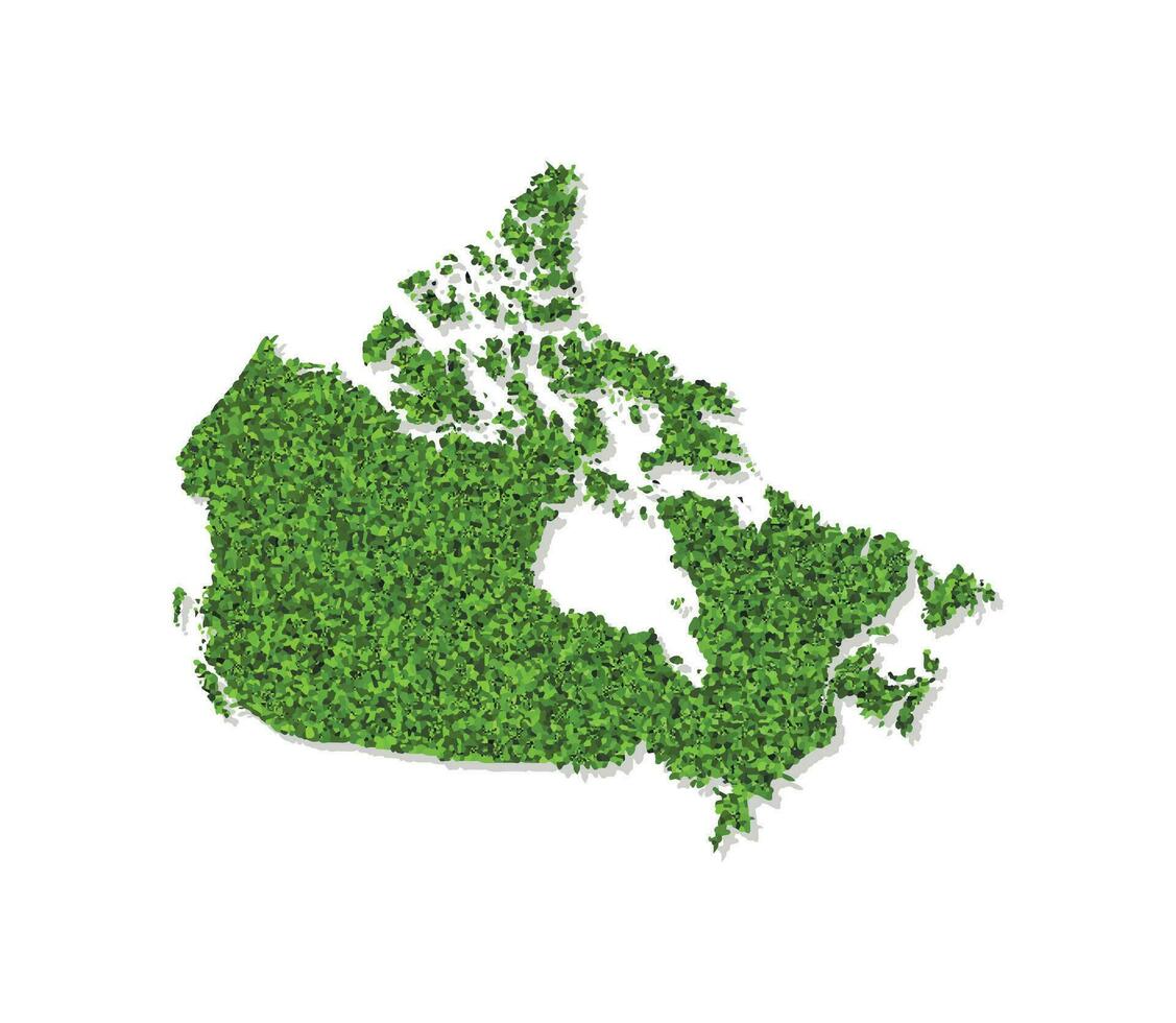 Vector isolated simplified illustration icon with green grassy silhouette of Canada map. White background.