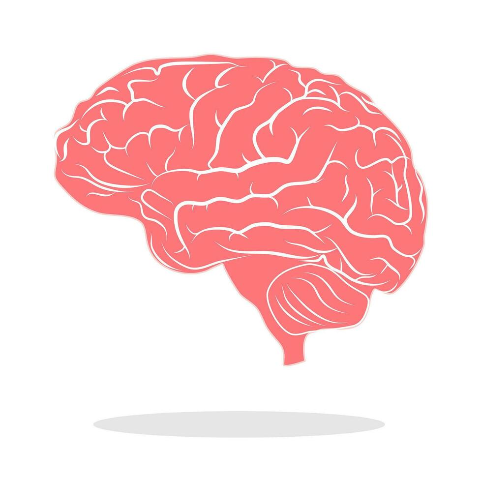 Color brain illustration Brain concept logo on a white background eps vector