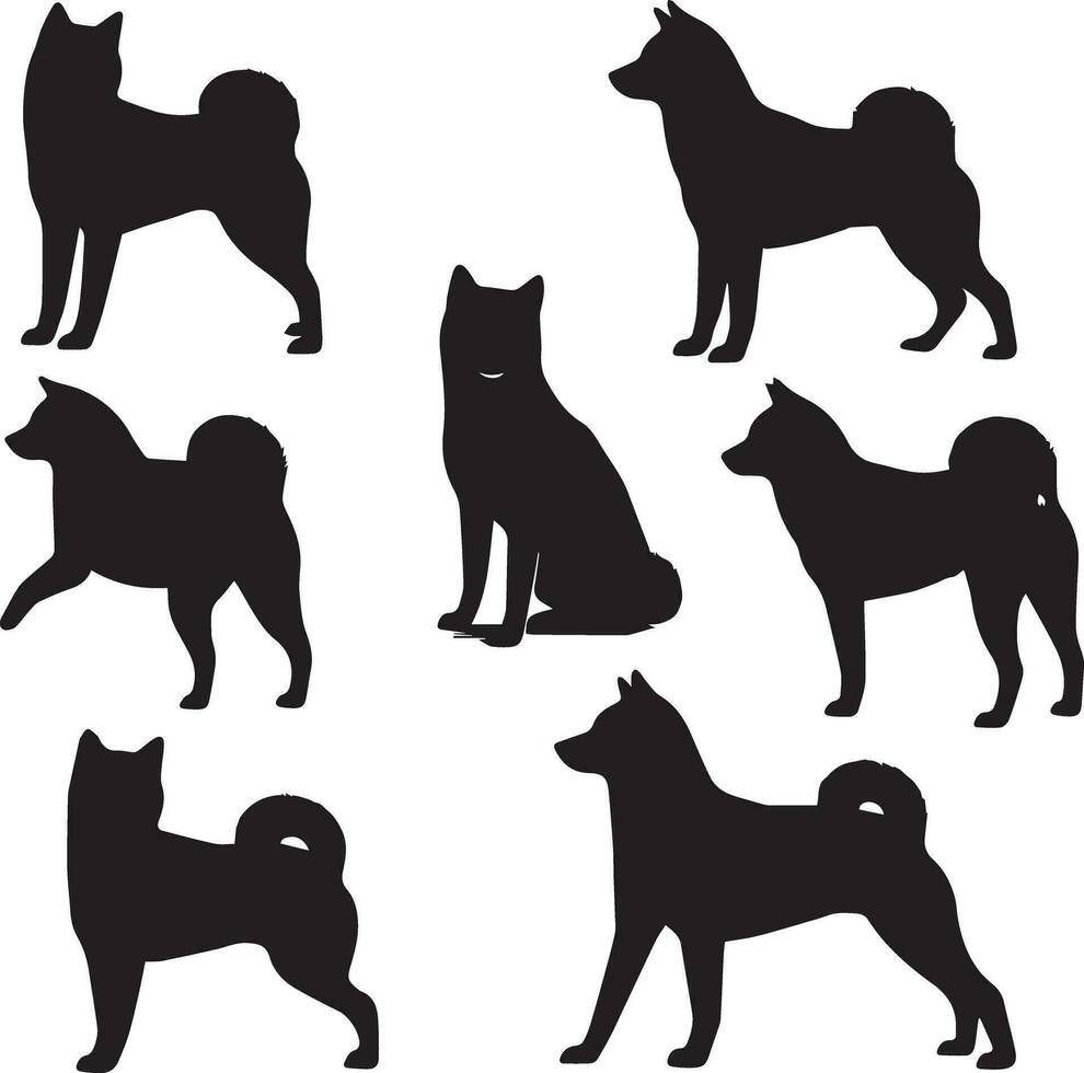 silueta sólido vector icono conjunto de perro, razas, canino, perro, sabueso, cachorro, chucho, mascota, perrito