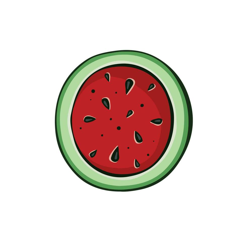 Half of watermelon, hand drawn cut fruit, with transparent background, illustration eps10 vector