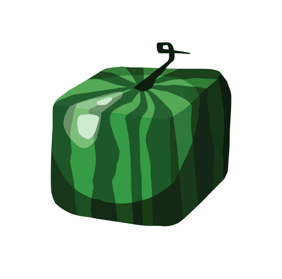 Watermelon cube, fruit of interesting shape, hand drawn, with transparent background, illustration eps10 vector