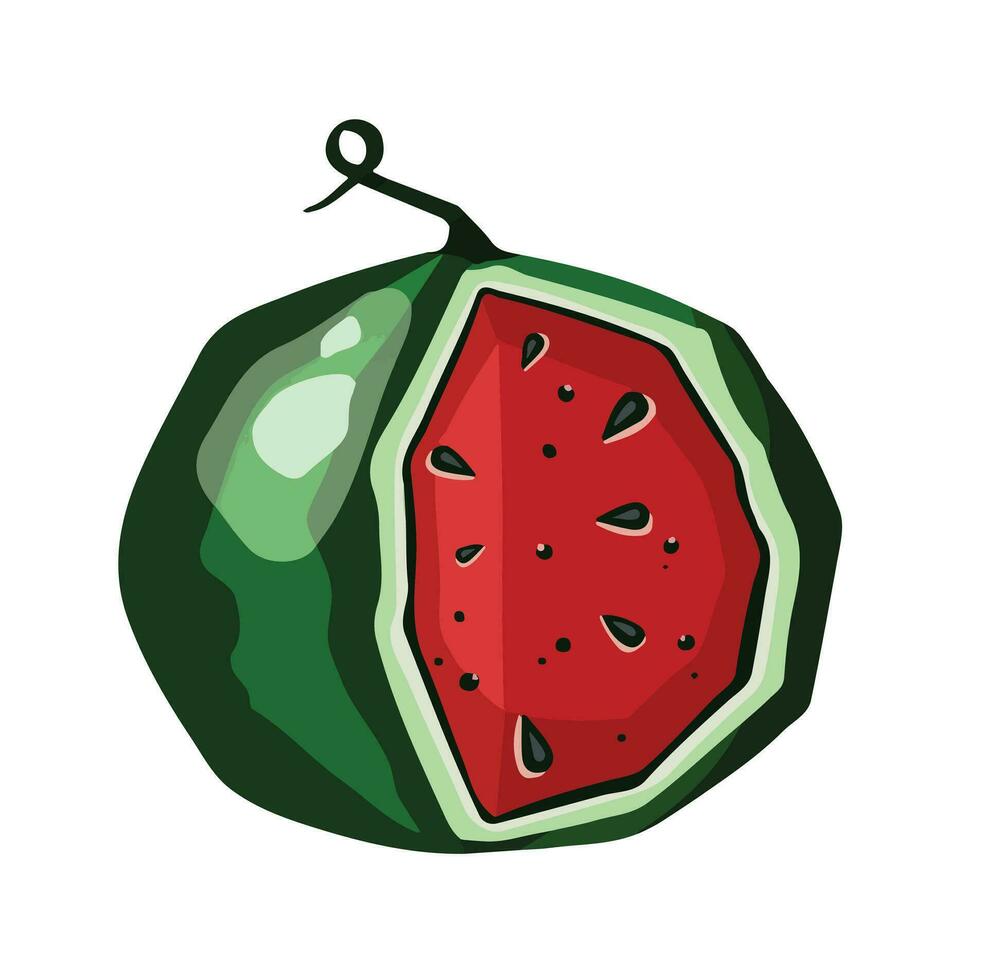 watermelon green striped and its share, hand drawn, with transparent background eps10 vector