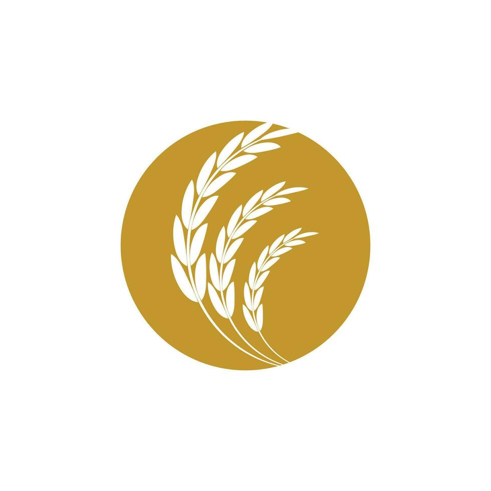 Agriculture wheat logo vector template symbol design