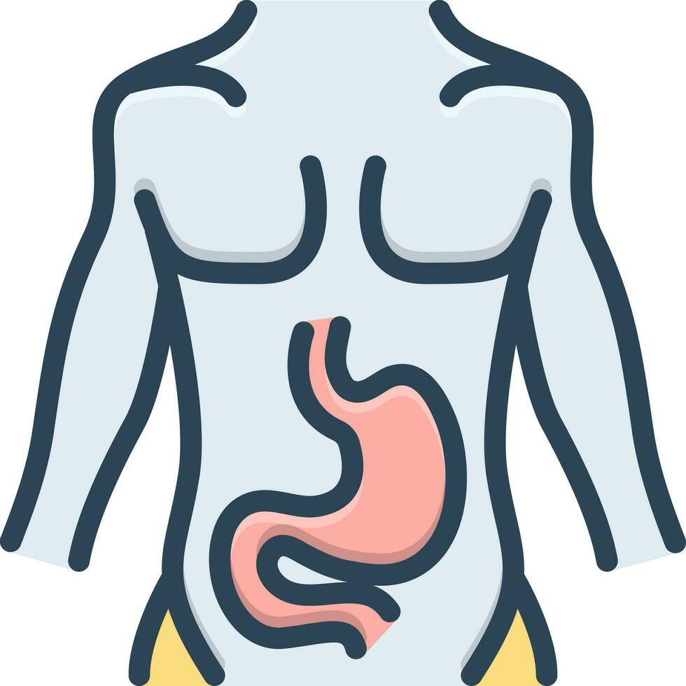 color icon for stomach vector