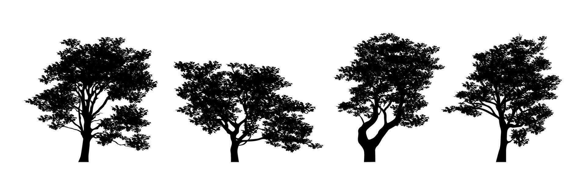 varios detallado árbol silueta colección vector